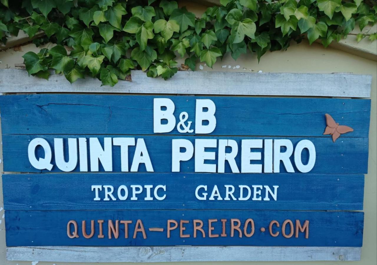 Quinta Pereiro Tropic Garden, Algarve Panzió Moncarapacho Kültér fotó