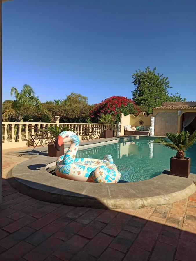 Quinta Pereiro Tropic Garden, Algarve Panzió Moncarapacho Kültér fotó
