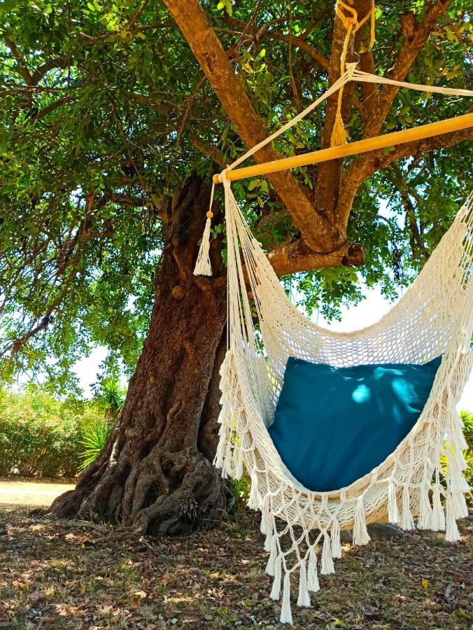 Quinta Pereiro Tropic Garden, Algarve Panzió Moncarapacho Kültér fotó