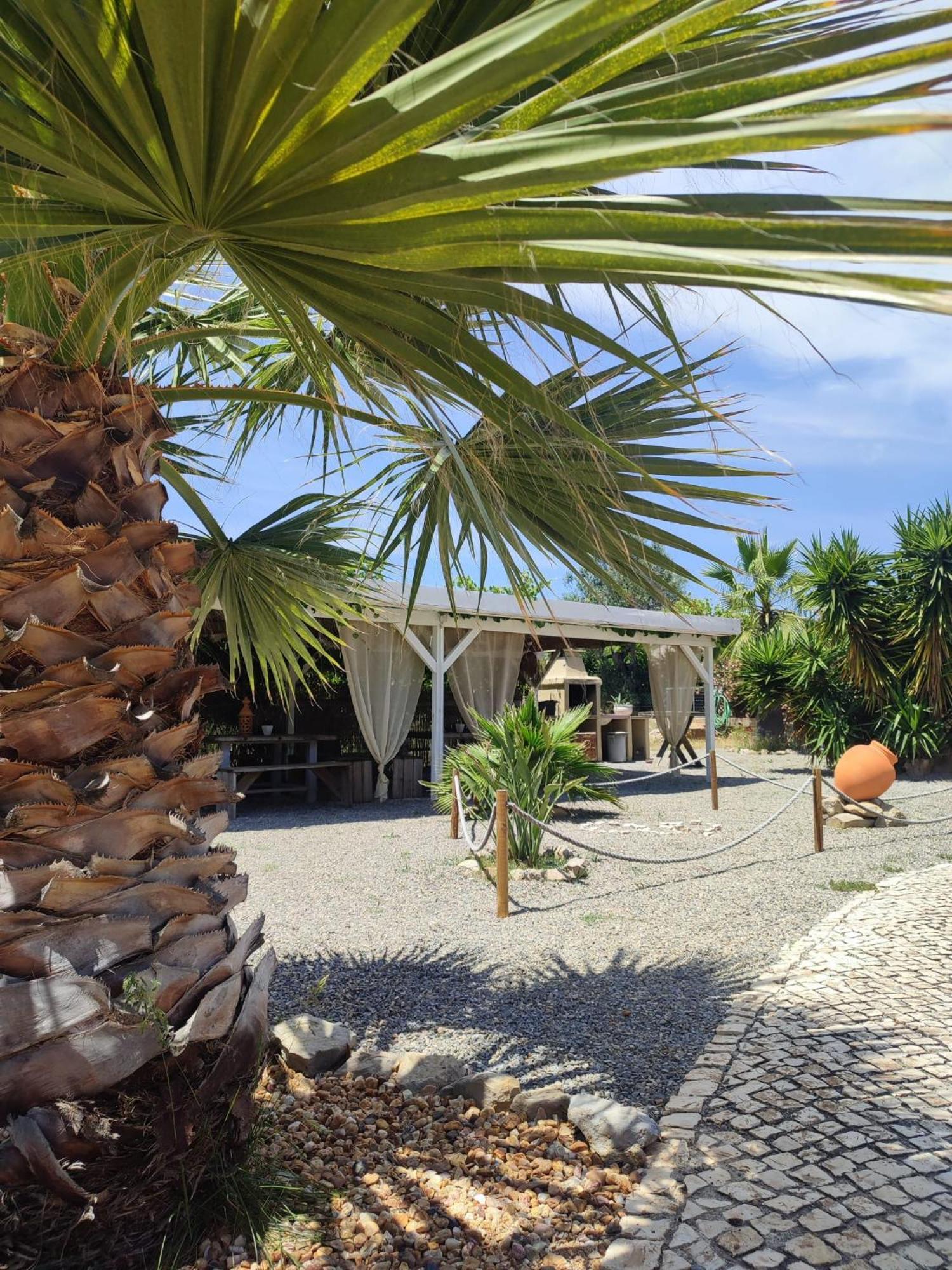 Quinta Pereiro Tropic Garden, Algarve Panzió Moncarapacho Kültér fotó